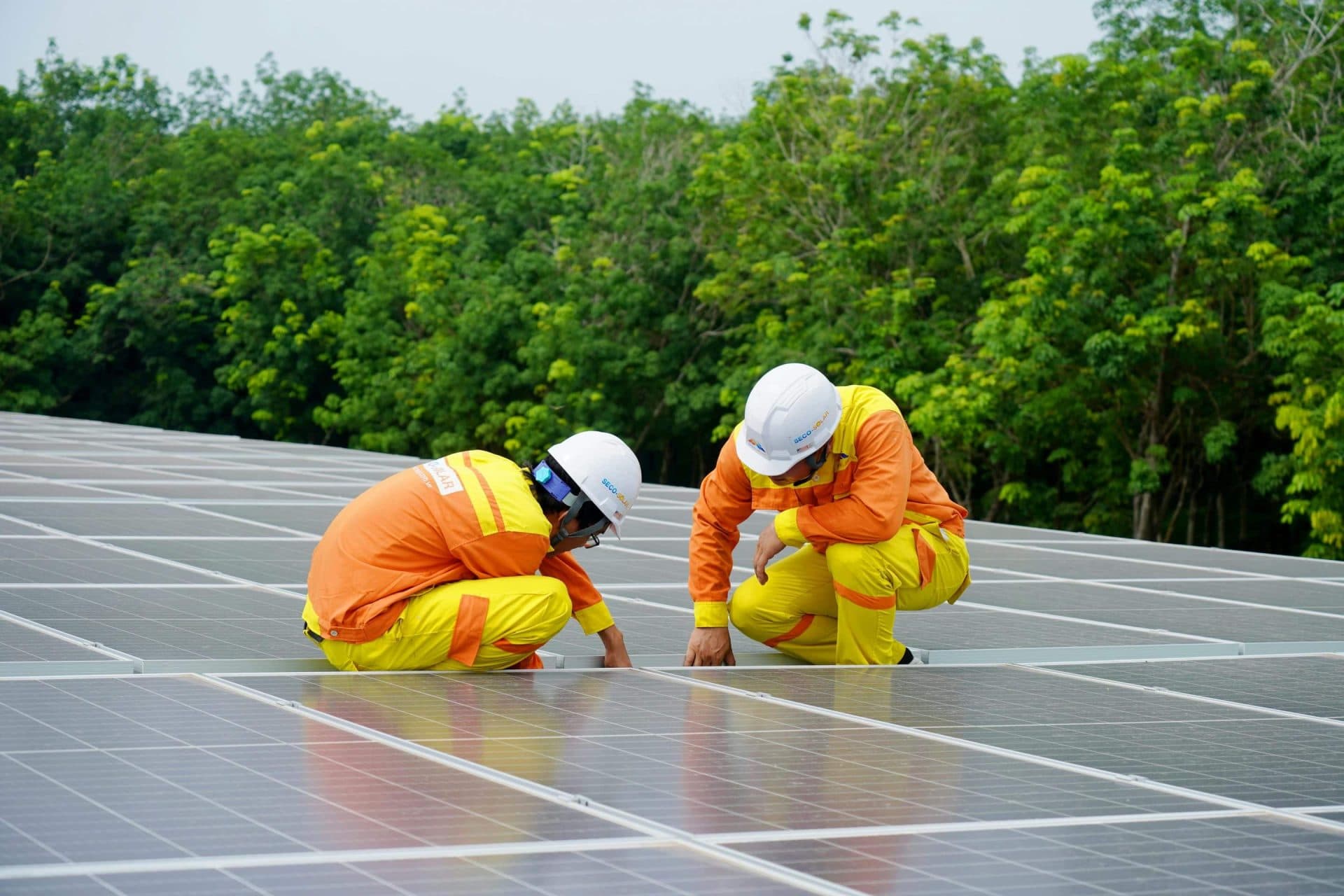 REC Solar Panels