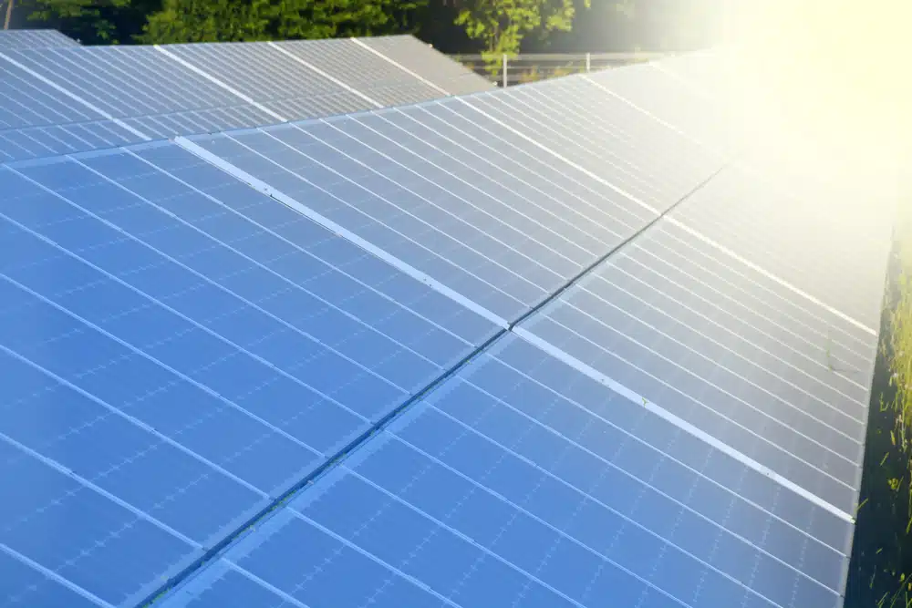 Reducing Your Carbon Footprint
