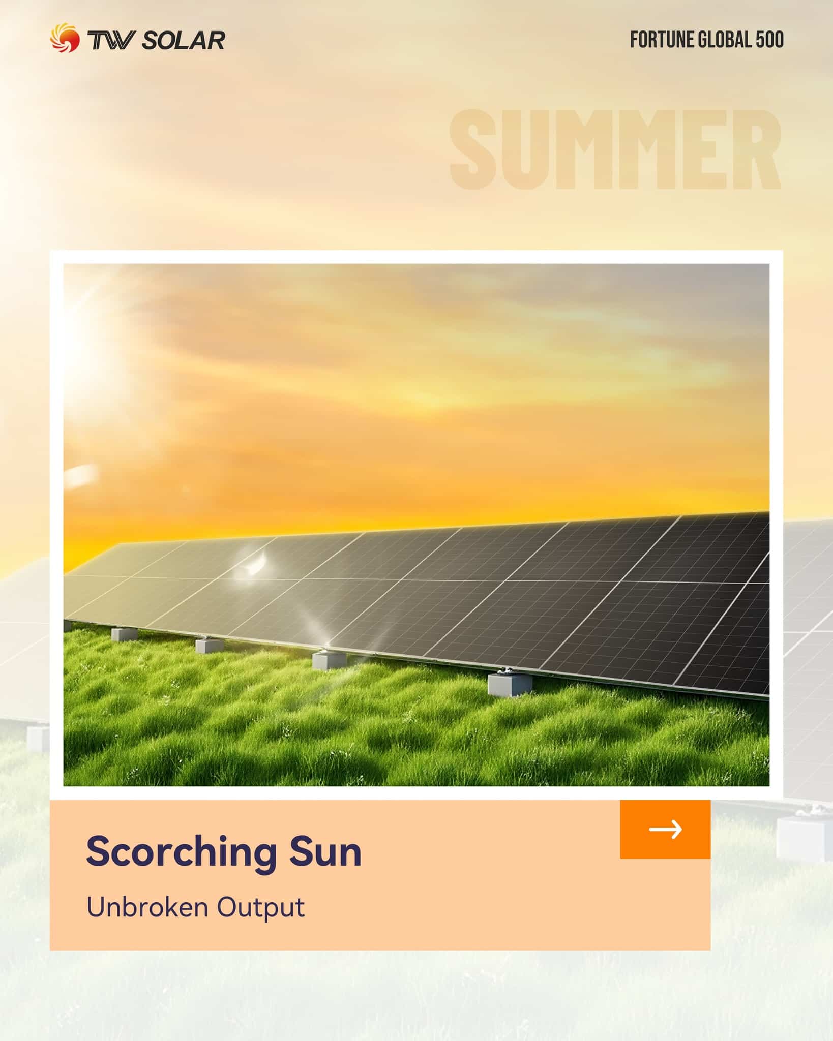 Why Choose TW Solar Panels